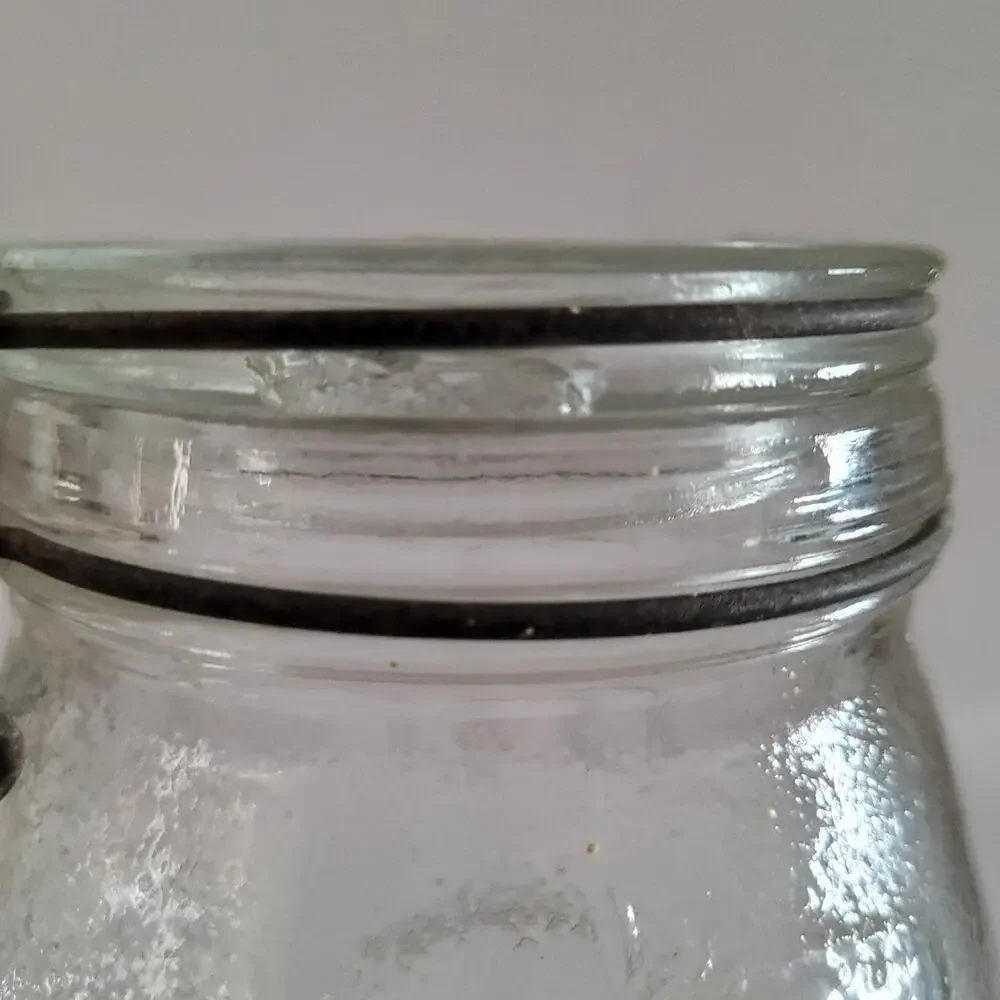 Vintage Fruit Texture Glass Jar - 9x4 inches